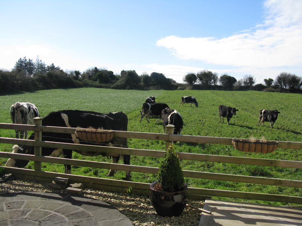 Bed & Breakfast Farmstead Beaufort